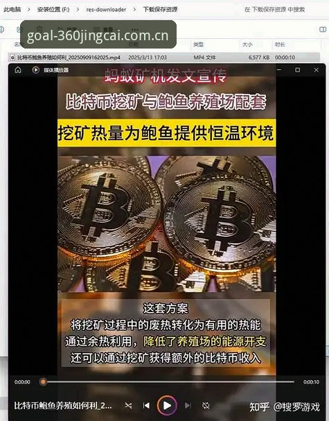 3个方案搞定最新世界杯体育竞猜旧版登录失败修复，实测有效
